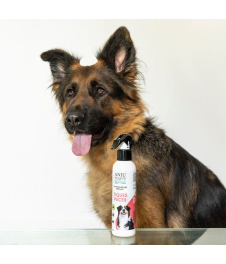 anti puce et tique chien Anju Beauté