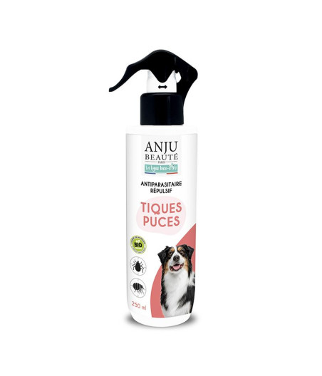 antiparasitaire chien anju beauté