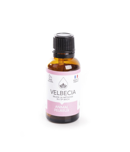 Velbecia – Fiori di Bach per gli animali paurosi