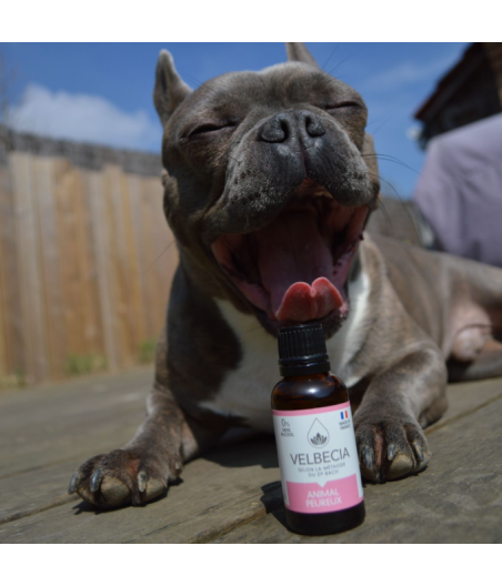 Bach Flower Remedy for Fearful Animals - Velbecia Alcohol-Free 30ml