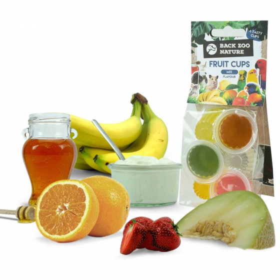 Back Zoo Nature 6 ciotole per frutta per uccelli e roditori