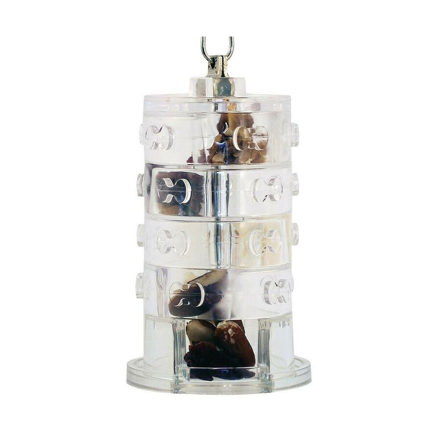 Anneaux de Fortune Birdy Einstein jouet perroquet