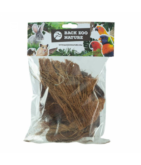 Ecorce Palmier Oiseaux Rongeurs Back Zoo Nature