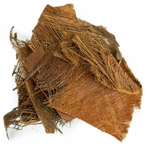 Corteccia di palma, uccelli, roditori, zoo, natura