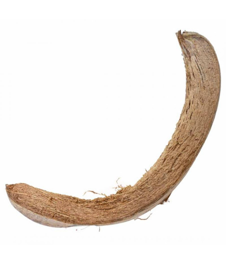 Coconut Shell Birds Rodents Reptiles Back Zoo