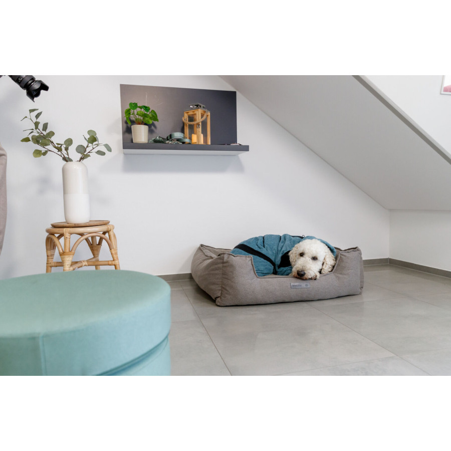 Trixie – Albornoz y mono de felpa para perros | 100 % algodón absorbente