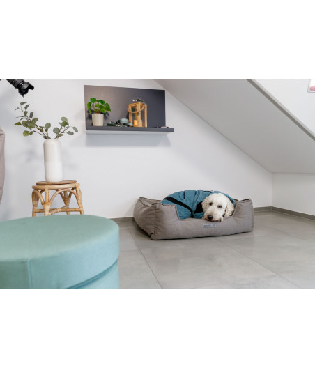 Trixie – Peignoir & combinaison en tissu éponge pour chien | 100% coton absorbant