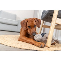 Trixie, BE NORDIC Tortue Hauke