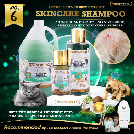 Shampoo antimicotico Pinkpawpal per cani e gatti