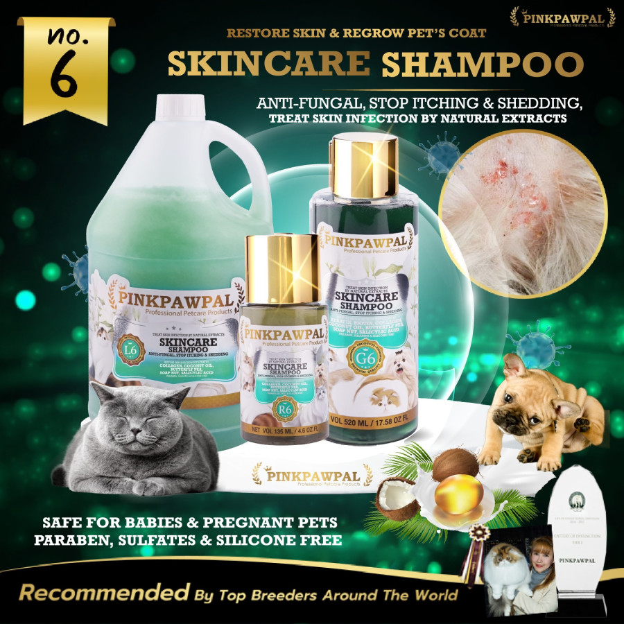 Pinkpawpal Antipilz-Shampoo für Hunde und Katzen