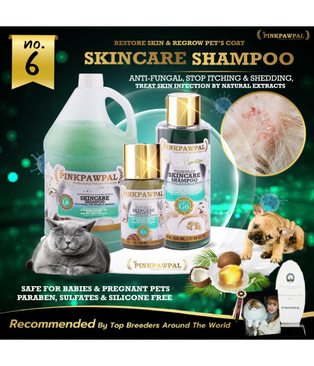 Shampooing antifongique chien chat Pinkpawpal Skincare