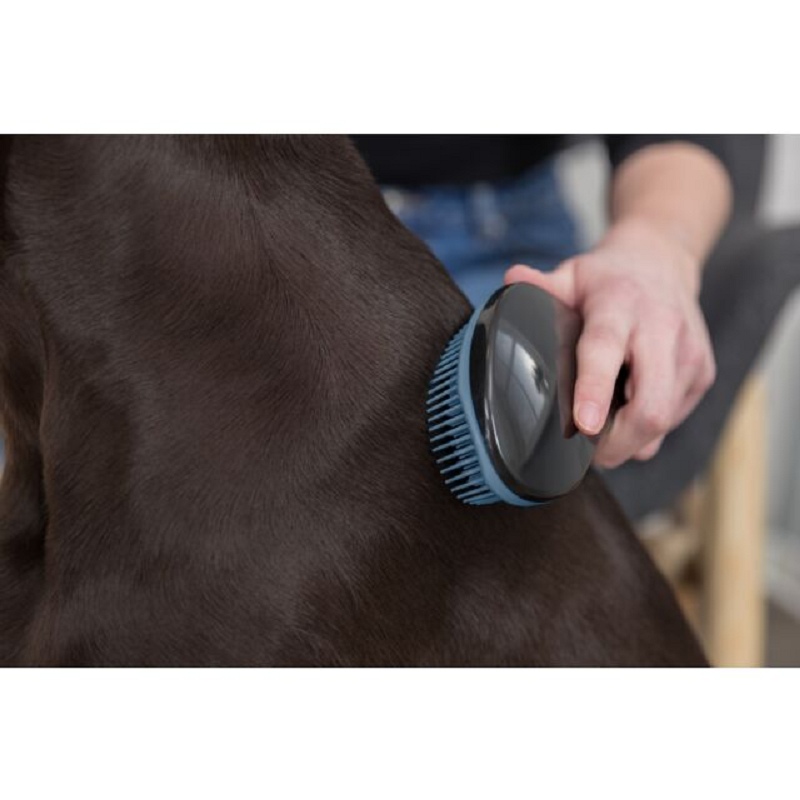 Brosse douce Trixie pour chien en plastique 19 cm avec poils souples pour démêler le pelage