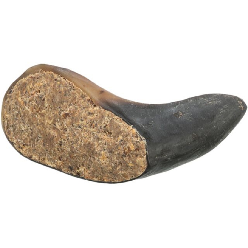 Corne de buffle Trixie fourrée au nerf et tendon de buffle 10-14 cm friandise de mastication naturelle anti-tartre pour chien