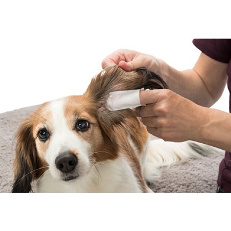 50 protège-doigts nettoyants à usage unique Trixie à l'aloe vera pour le soin des oreilles des chiens chats et lapins