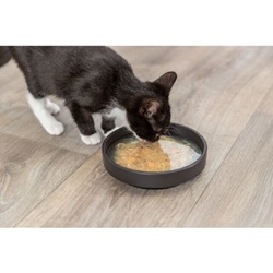 Trixie, Sopa de salmón de Kittis