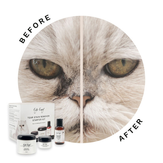 Eye Envy Kit für Katzen – Entfernt Tränenflecken auf natürliche Weise | Sichere und wirksame Lösung