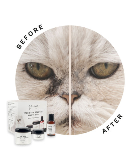 Eye Envy Kit for Cats – Naturally Remove Tear Stains | Safe and Effective Solution