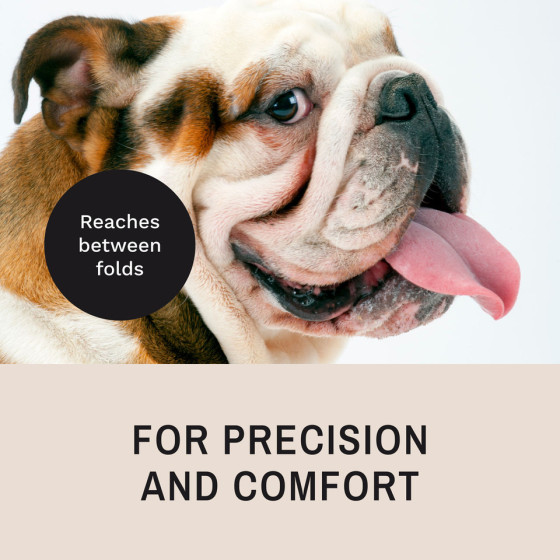 Brocha ProPowder Eye Envy | Aplicador de polvos para ojos