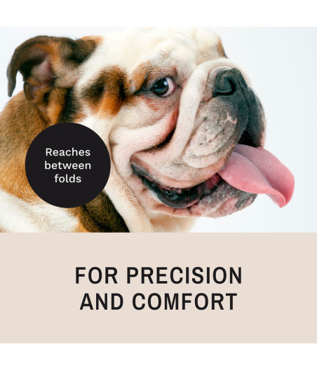 Brocha ProPowder Eye Envy | Aplicador de polvos para ojos