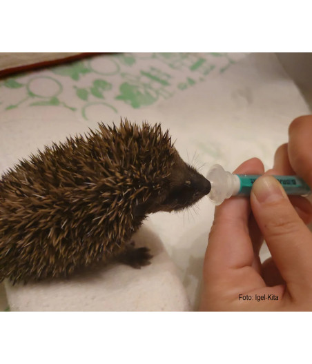 5 Tettarelle in silicone AniMam Midi | Allattamento al seno per cuccioli di mammifero
