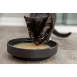 Trixie, Sopa de salmón