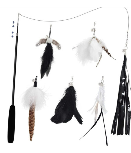Canne à Pêche noire pour Chat SONGWAY et ses 6 Recharges Plumes & Pompons