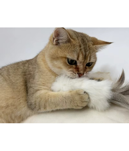 Jouet naturel interactif pour chat en véritable fourrure de lapin avec couineur sonore intégré
