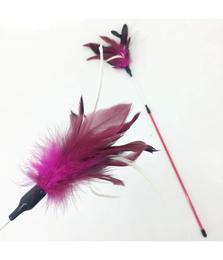 Flora Cat Feather Duster Toy | 65cm Fishing Rod