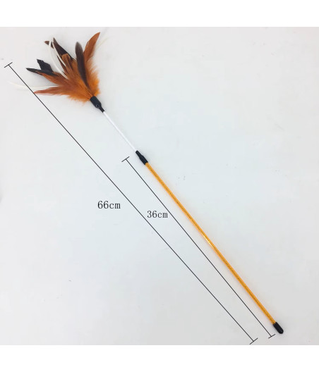 Giocattolo spolverino per gatti Flora | Canna da pesca da 65 cm