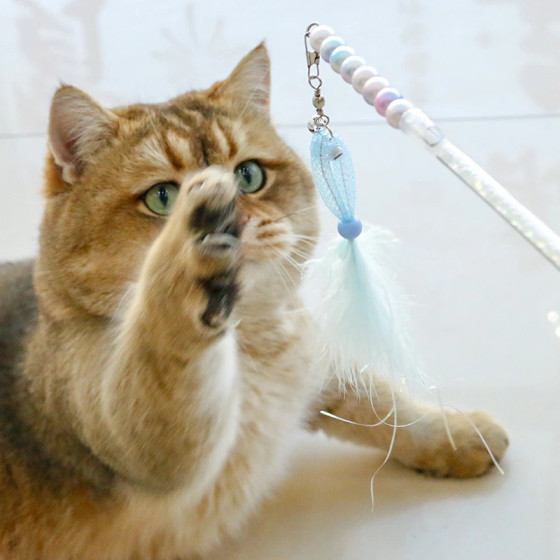 Recharge interactive à l'unité en forme de petit poisson avec plumes colorées à accrocher sur une canne à pêche pour chat
