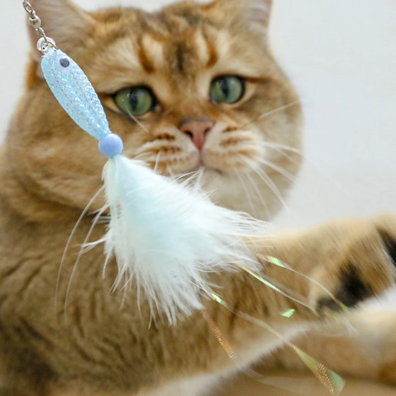 Recharge interactive à l'unité en forme de petit poisson avec plumes colorées à accrocher sur une canne à pêche pour chat