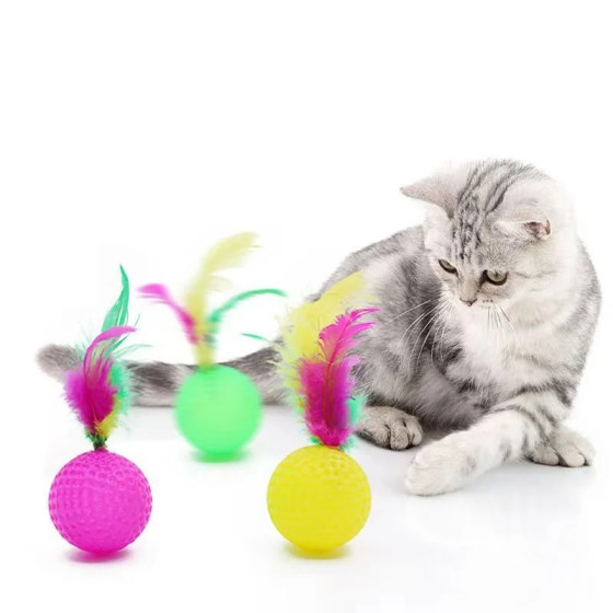 Jouet interactif balle colorée en plastique léger avec véritable plume et grelot intégré pour chat diamètre 3,8 cm