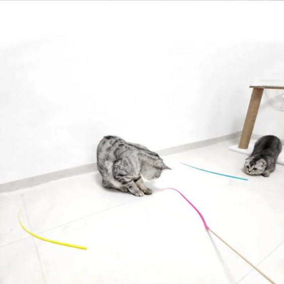 Jouet interactif canne à pêche pour chat avec bâton en bois naturel et embout en silicone flexible imitant une queue de souris