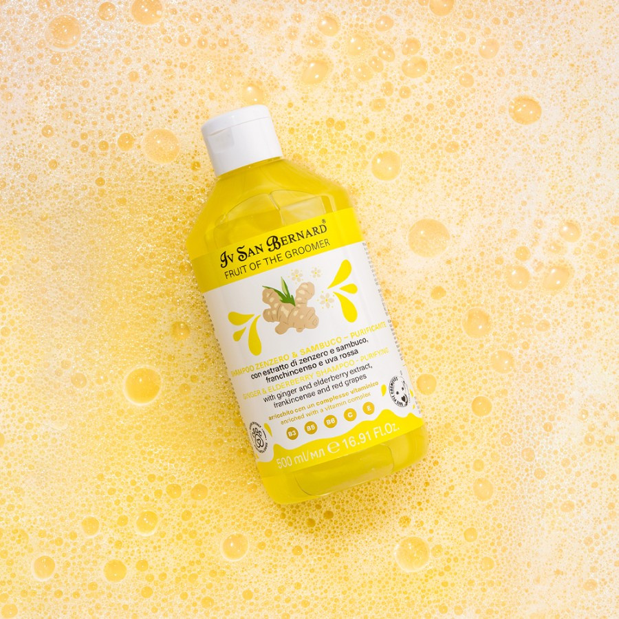 Shampoing apaisant Sureau et Gingembre IVSB pour soulager les démangeaisons et assainir la peau irritée du chien et chat