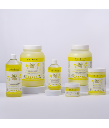 Masque apaisant Sureau et Gingembre IV San Bernard utilisé en prémasque pour soulager les démangeaisons du chien et chat