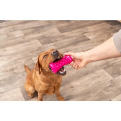Trixie, Jouet pour chien Os Soft & Strong TPR Trixie