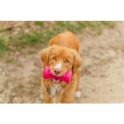 Trixie, Jouet pour chien Os Soft & Strong TPR Trixie