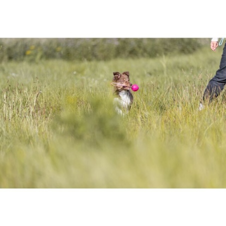 Trixie, Pelota para perros Trixie Soft & Strong TPR con correa