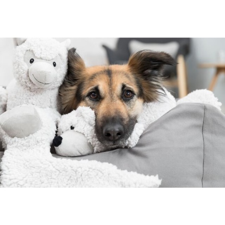 Trixie, Trixie 34877 Crinkly Donkey Plush Toy for Dogs, 40cm