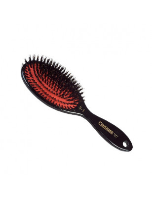 Brosse Petit Modèle