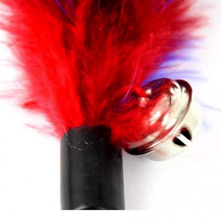 Rainbow feather duster with bell