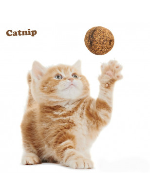 Set mit 2 Kugeln aus natürlicher Katzenminze