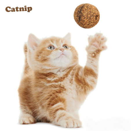 Set mit 2 Kugeln aus natürlicher Katzenminze
