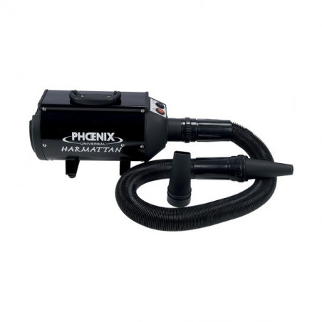 Portable Harmattan Pulser Dryer