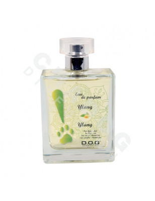 Eau de parfum Ylang Ylang Dog Génération