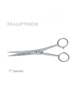 Ciseaux droit inox 19.5 cm Hauptner