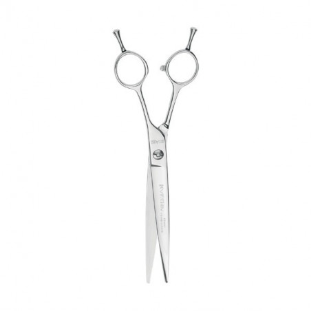 Ciseaux droits Ehaso Revolution 19 cm