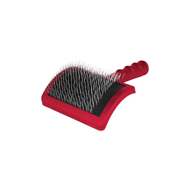Carde Juliann Large Picots Standards Carde Juliann Large Picots Standards