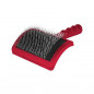 Carde Juliann Large Picots Standards Carde Juliann Large Picots Standards