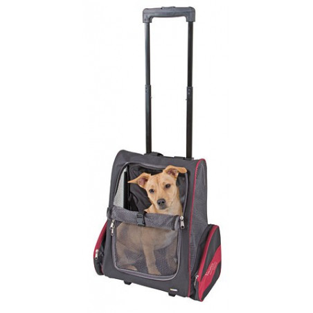 Urlaubsrucksack/Trolley